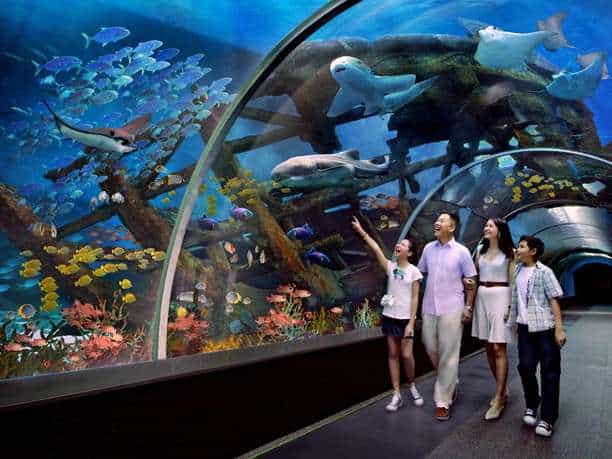 Exhibits Ocean Wonders & Meet The Sharks at Sea Aquarium, Singapore!